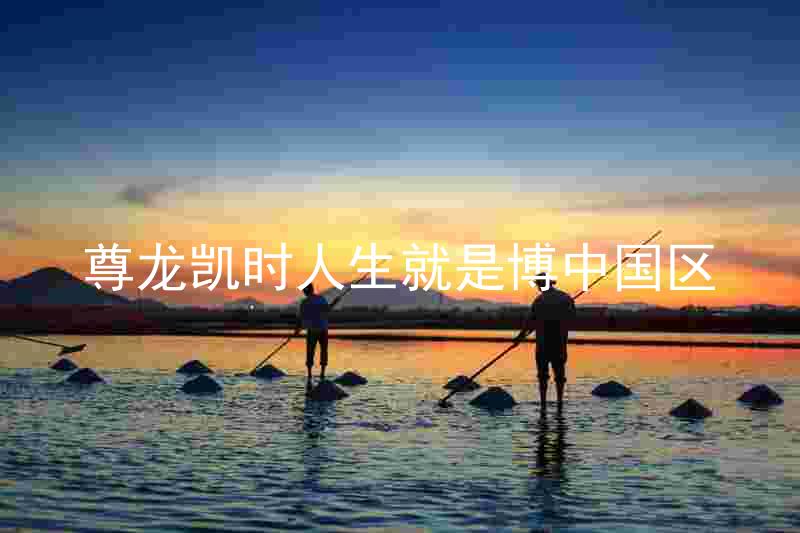 尊龙凯时人生就是博中国区