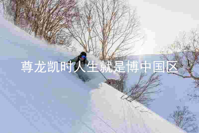 尊龙凯时人生就是博中国区